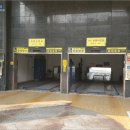 비즈트위트 그린 이미지