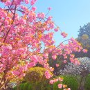 유엔기념공원주차장 Daum카페