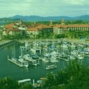 나무메드 이미지