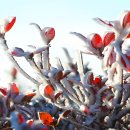 한라산PC 이미지