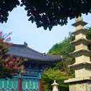 9월2일 통도사19암자 암자 순례 이미지