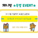 채니핏 이미지