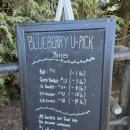 유픽(U-PICK) 이미지