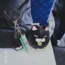 회피형의 무계획 3박4일 후쿠오카 혼여 레쭈고