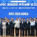 우수안전장식