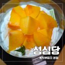 학감대로123번길(하나로길) | 대전 성심당 케익부띠끄 본점 후기｜썸머요거피치부터 튀김소보로까지