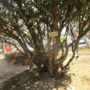 동성공원 이미지