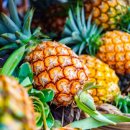 파인애플 이미지
