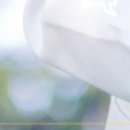 마디엔신경외과의원 이미지