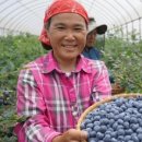 해남슈퍼 이미지