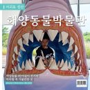 제주 아이랑 가볼만한곳 해양동물박물관 :: 도민의 내돈내산 솔직 후기