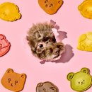 애니콩 주식회사 농업회사법인 이미지