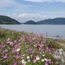 [거인산악회 유튜브채널] 2024년 10월 9일 남파랑길 64코스 답사기록 (강물) &amp; gpx track 이미지