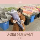 (주)르노삼성자동차 서비스코너 서초점 | 아이와 양재꽃시장 꽃 구경 생화 화분 가격 후기