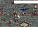 김밥먹자 이미지