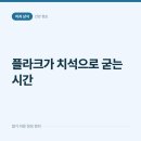 슬기로운 군산치과의원 | 플라크가 치석으로 굳기까지, 며칠이면 충분하다는 사실을 모르는 사람들