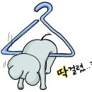 나무그림정원