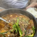 충북음성 금왕 갈비탕/육개장/오삼불고기 맛집 &lt;황소고집&gt;