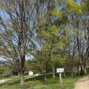 해피알프스 | 춘천 가볼만한 곳 해피초원목장 평일 방문 후기