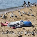 아몰랑 이미지