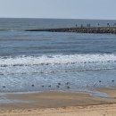 서해바다 이미지