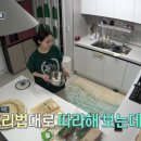 디시워시 이미지
