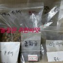 유인숙농장 네이버블로그