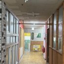 호로록망고사고
