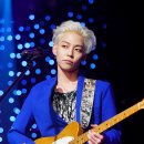 더로즈 이미지