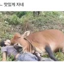 CU연수우성점 | 미서부 10박 12일 3