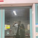고릴라 | 부산 3박4일 여행 일정 - 해운대 요트투어, 해운대 시장, 송도해상케이블카, 부산비프거리 길거리음식