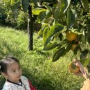 비룡농장 이미지