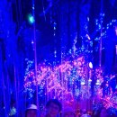 광명동굴 이미지