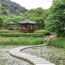 수목원 이미지