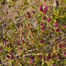 뒤뜰공원 이미지