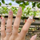 아주중학교 | 봄나들이 필수템 붙이는 네일팁 으로 분위기업 사비에르 네일팁 3종 솔직후기