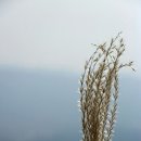 김진철 이미지