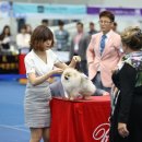 에버노블 이미지