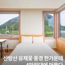 머물다 | 산방산 유채꽃 4월 명소 제주 산방산 근처 숙소 가성비 펜션 산방산에머물다 후기