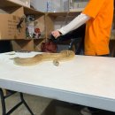 마루농장 | 아라마루 아쿠아리움 주차·입장료·시간표·방문꿀팁 아이랑 방문 후기