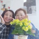 유토피아공인중개사사무소 이미지