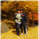 가을여행 이미지