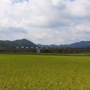 두류1리 이미지