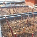 대서환경(주) 이미지