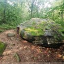 배알미63 이미지