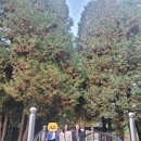 한별법무사사무소