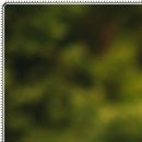 신림자유한의원 이미지