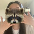 야호🌳 히피펌 후기 👩🏻‍🦱 천안 아산 아우룸제이