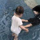 믿음윤농장 | [아기 선크림 추천] 차앤맘 피토세린 마일드 선크림 l 피토세린 하이드로 헤어 앤 바디워시