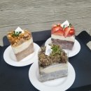 오도르(Odor) | 대전 도안 대형 카페 배롱나무/코스모스 명소 '오도르' 내돈내산 후기